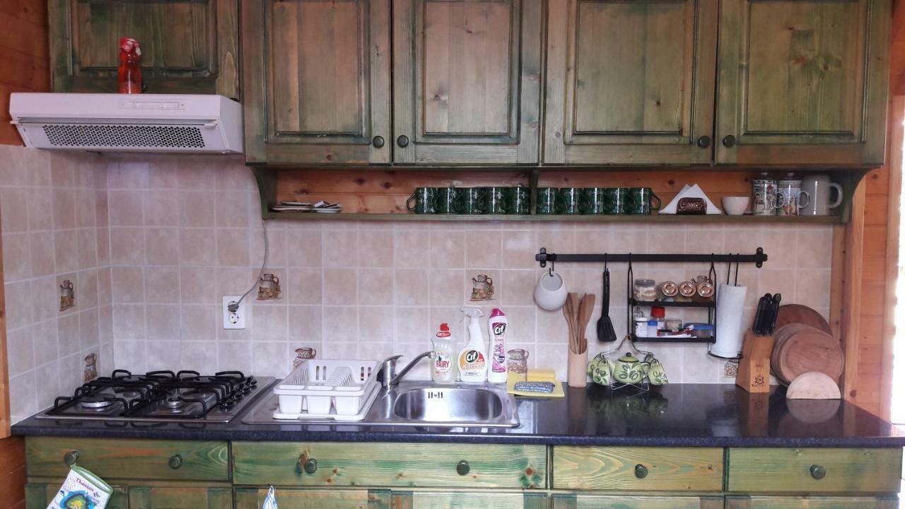Hunor-Magor Vendeghaz Villa Izvoare  Dış mekan fotoğraf