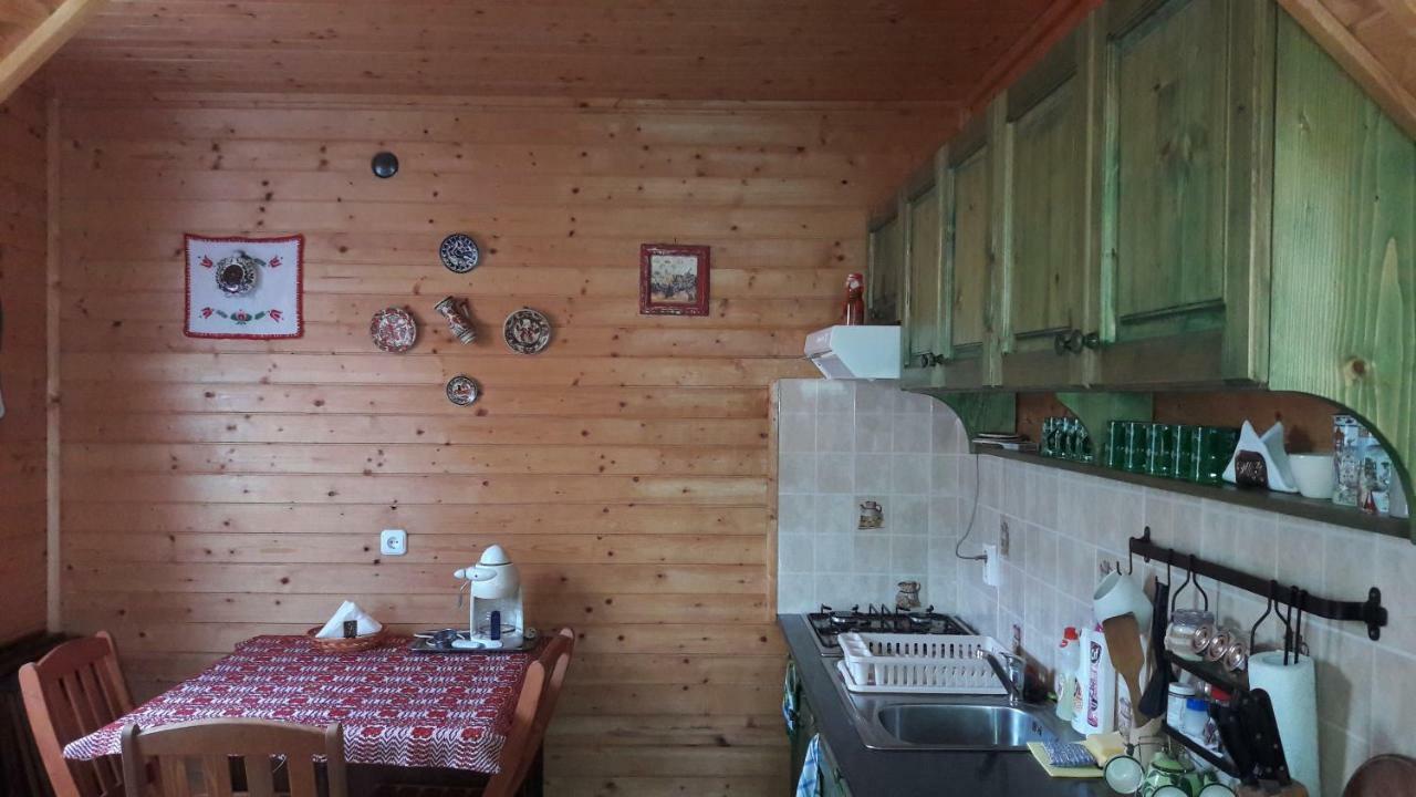 Hunor-Magor Vendeghaz Villa Izvoare  Dış mekan fotoğraf